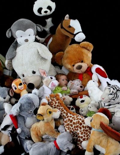 photo - bébé - zoom souvenirs - studio - peluches - ours - cheval - tigre - lapin- girafe - noir - gris - blanc - marron